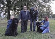 Превью фото № 161556