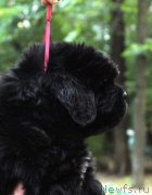 Превью фото № 161578