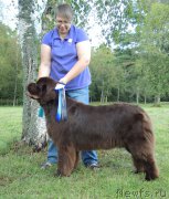 Превью фото № 161582