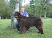 Превью фото № 161583