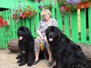 Превью фото № 161590