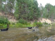 Превью фото № 161592