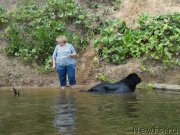 Превью фото № 161596