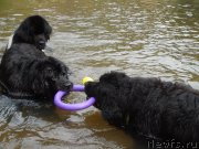 Превью фото № 161597