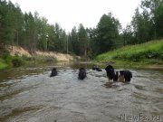 Превью фото № 161598