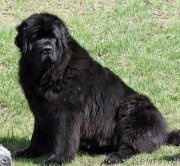 Превью фото № 161637