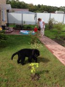 Превью фото № 161666