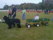 Превью фото № 161674