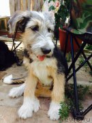 Превью фото № 161714