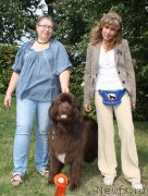 Превью фото № 161721