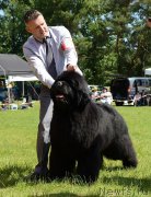 Превью фото № 161730