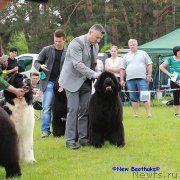 Превью фото № 161732