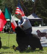 Превью фото № 161733