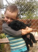 Превью фото № 161802