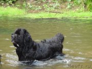 Превью фото № 161839