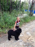 Превью фото № 161890