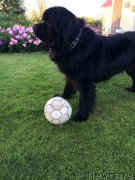 Превью фото № 161978