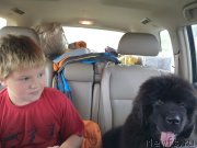 Превью фото № 162031