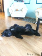 Превью фото № 162033