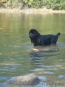 Превью фото № 162034