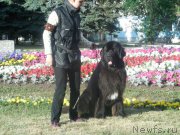 Превью фото № 162133