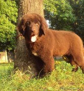 Превью фото № 162154