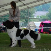 Превью фото № 162187