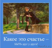 Превью фото № 162253