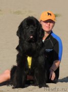 Превью фото № 162303