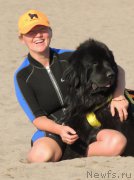 Превью фото № 162304