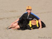 Превью фото № 162319