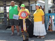 Превью фото № 162331