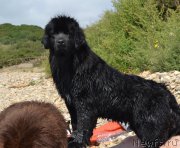 Превью фото № 162349