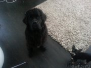 Превью фото № 162361