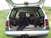 Превью фото № 162373