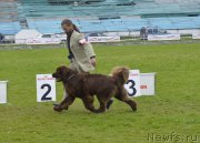 Превью фото № 162406
