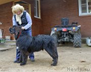 Превью фото № 162428