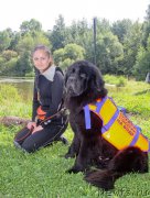 Превью фото № 162444