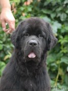 Превью фото № 162473