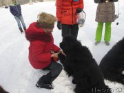 Превью фото № 162493