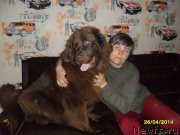 Превью фото № 162499