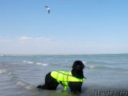 Превью фото № 162533