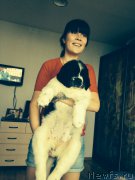 Превью фото № 162596