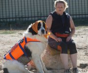 Превью фото № 162656