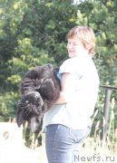 Превью фото № 162668