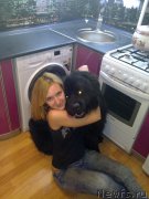 Превью фото № 162677