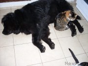 Превью фото № 162685