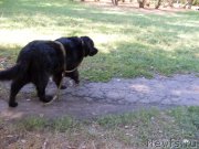 Превью фото № 162688