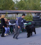 Превью фото № 162760