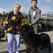 Превью фото № 162761